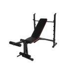 First Choice Multipurpose Adjustable Full Body Workout Gym Bench