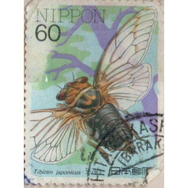 60 Nippon Tibicen Japonicus Used Stamp