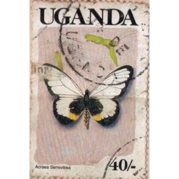 40 Uganda Acraea Semivitrea Used Stamp