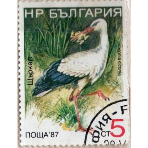 5 Ciconia Used Stamp