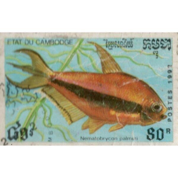 80 Cambodia Fish Used Stamp