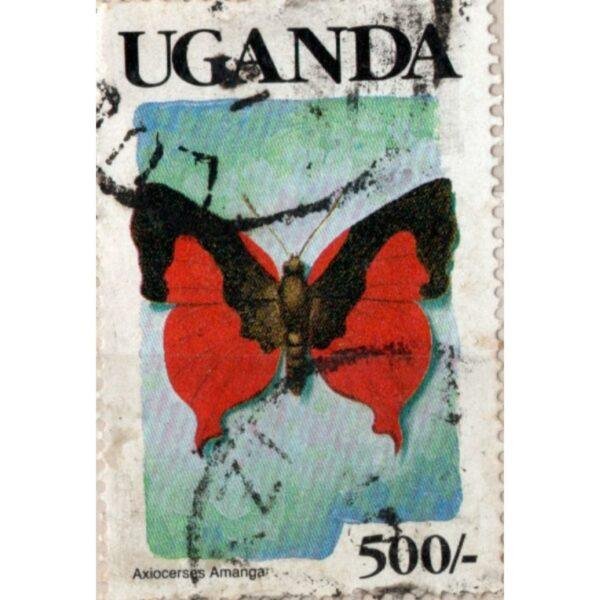 50 Uganda Axiocerses Amanga Used Stamp
