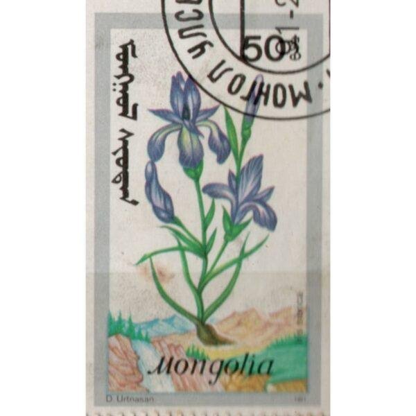 50 Mongolia D Urtnasan Used Stamp