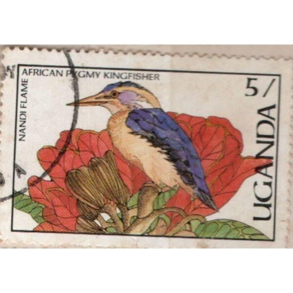 5 Uganda African Pygmy Kingfisher Used Stamp