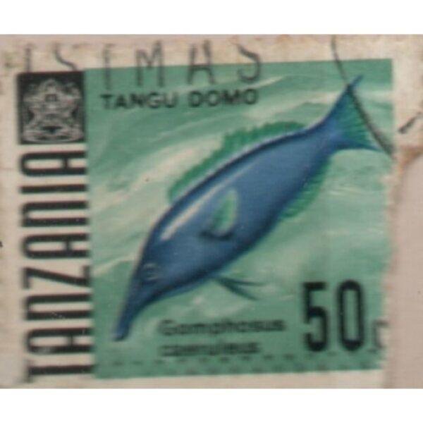 50 Tanzania Tangu Domo Used Stamp