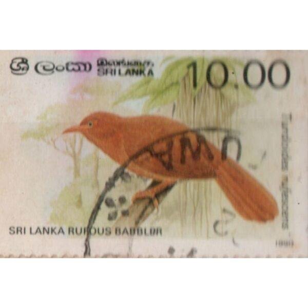 10 Sri Lanka Rufous Babbler Used Stamp