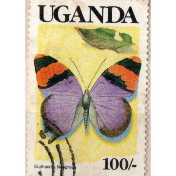 100 Uganda Euphaedra Neophron Used Stamp