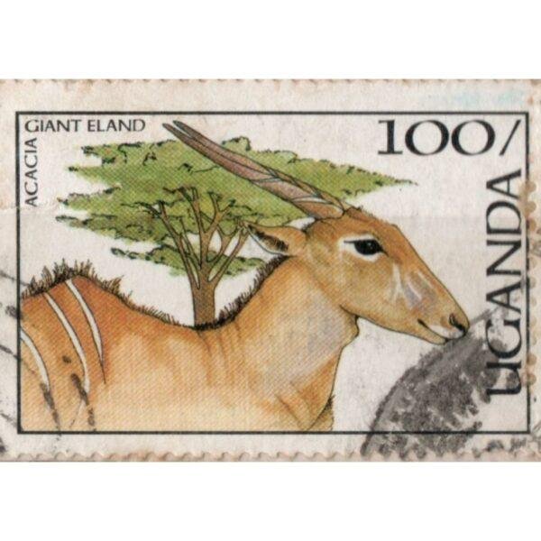 100 Uganda Acacia Giant Eland Used Stamp