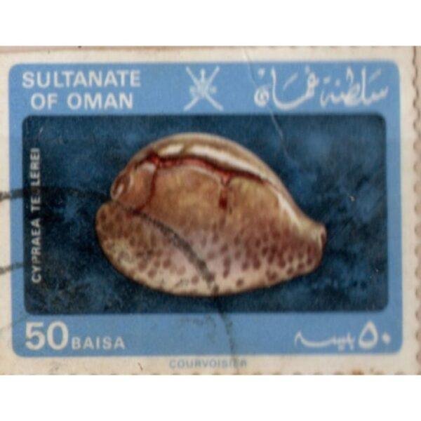 50 Sultanate Of Oman Cypraea Teulerei Used Stamp