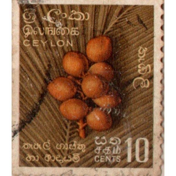 10 Ceylon Used Stamp