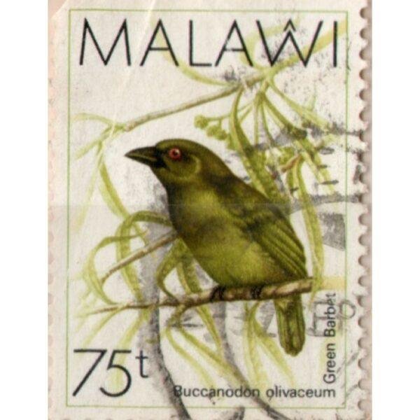 75 Malawi Buccanodon Olivaceum Green Barbet Used Stamp