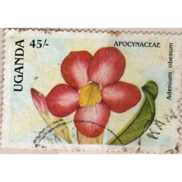 45 Uganda Adenium Obesum Used Stamp