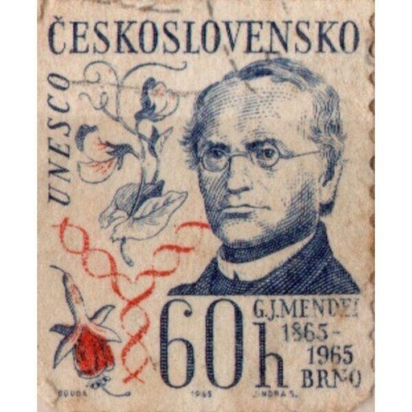 60 Ceskoslovensko GJ Mendez Used Stamp