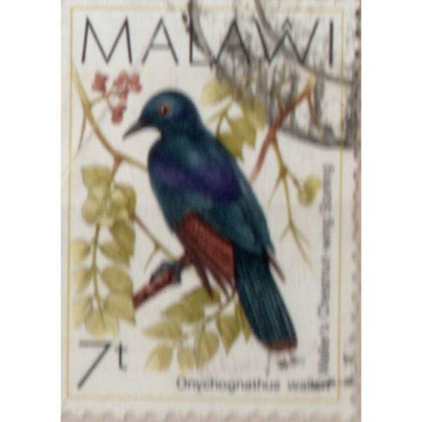 7 Malawi Onychognathus Walkeri Used Stamp