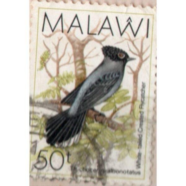 50 Malawi Trochocerus Albonotatus Used Stamp