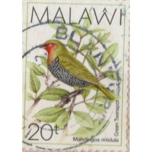 20 Malawi Mandingoa Nitidula Used Stamp