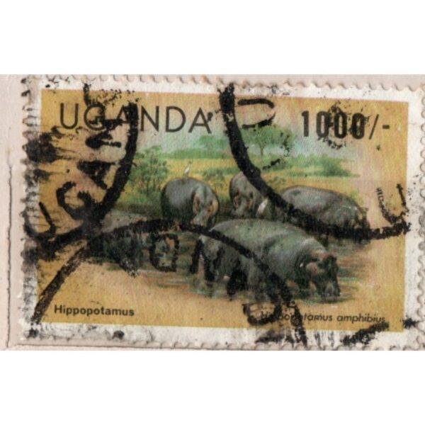 1000 Uganda Hippopotamus Amphibius Used Stamp