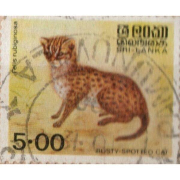 5 Sri Lanka Rusty Spotted Cat Used Stamp
