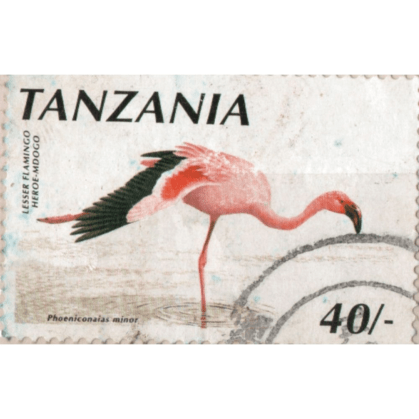 40 Tanzania Phoeniconaias Minor Used Stamp